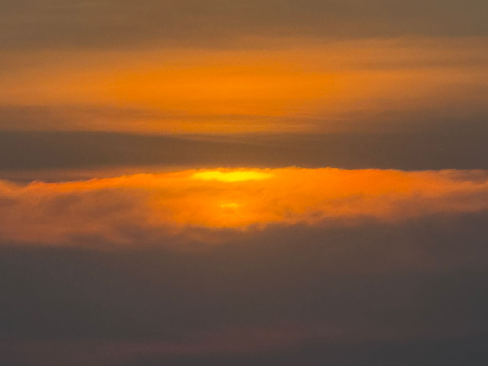 WhatsApp Image 2025-01-27 at 10.48.19 PM