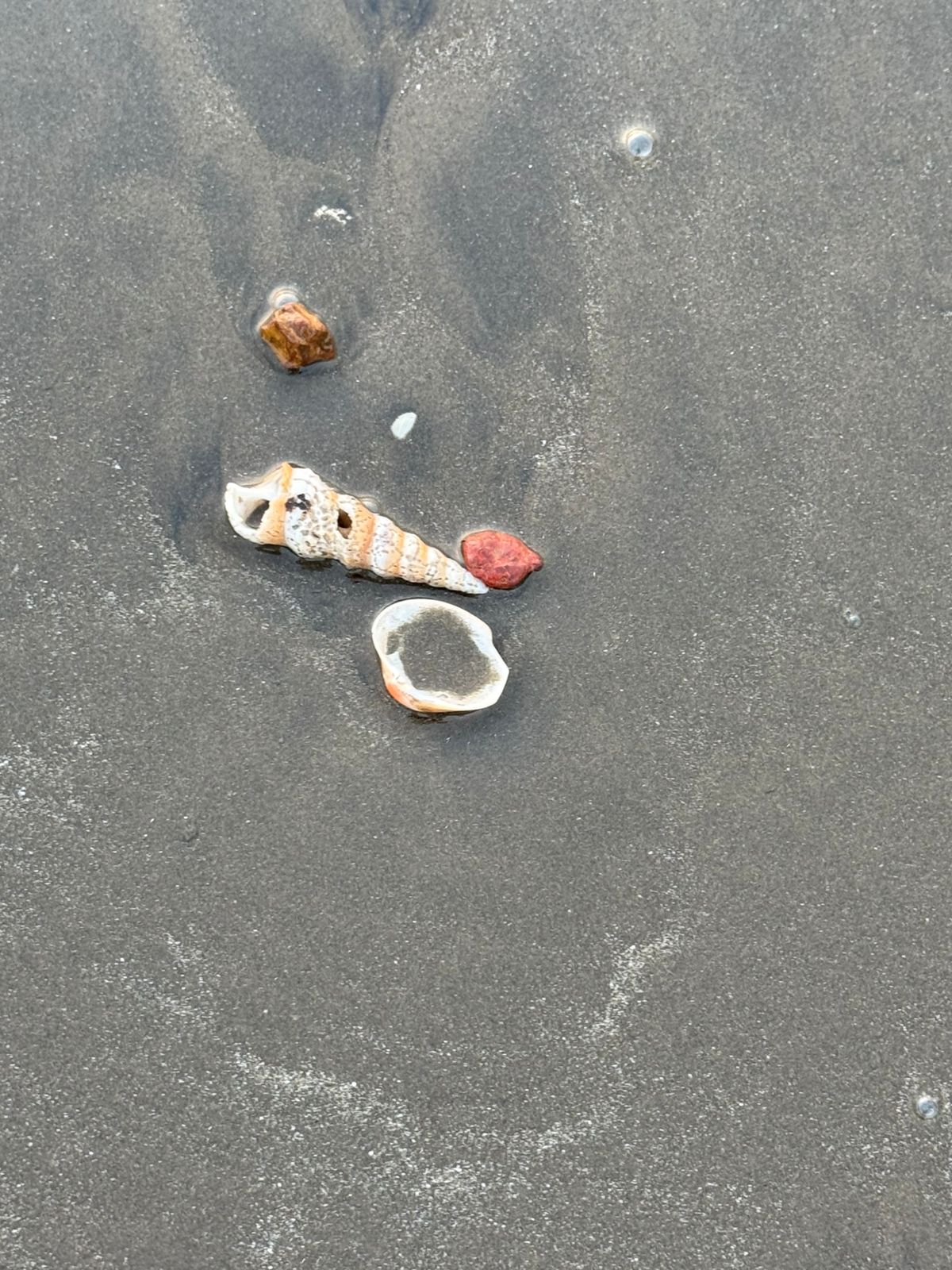 WhatsApp Image 2025-01-27 at 10.48.21 PM (1)