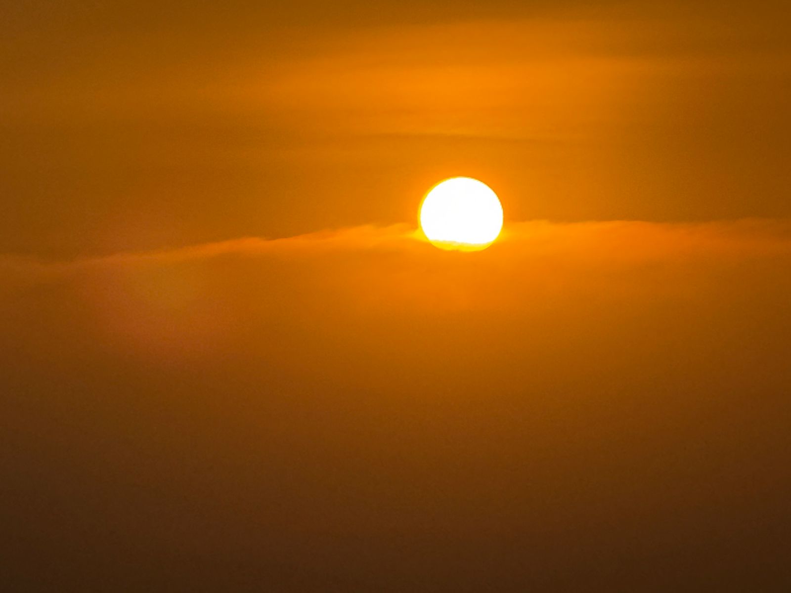 WhatsApp Image 2025-01-27 at 10.48.23 PM