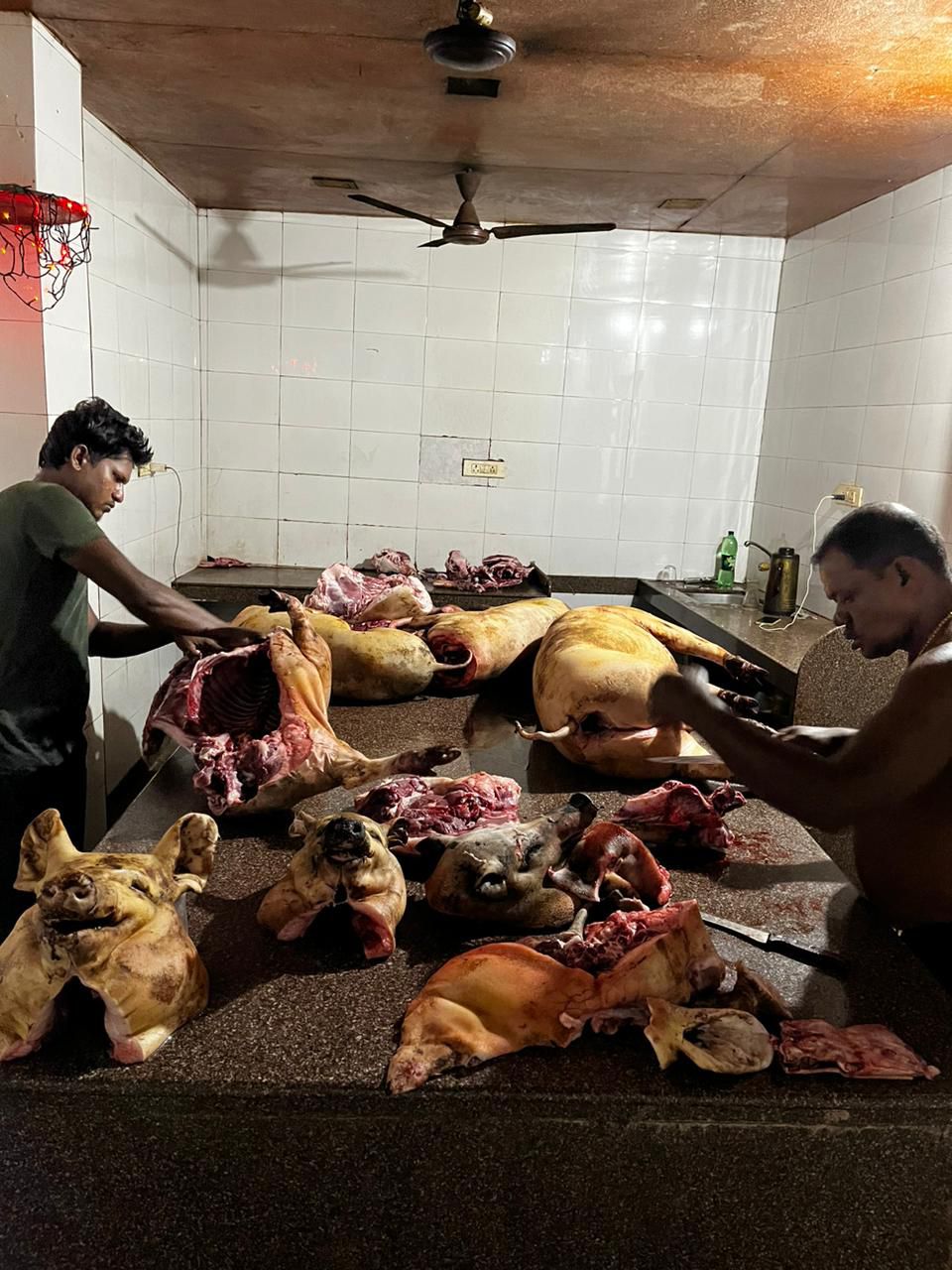 WhatsApp Image 2025-01-28 at 10.07.02 PM