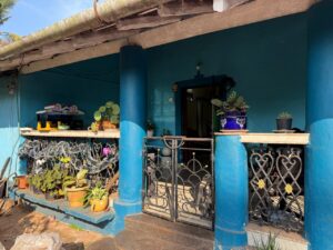 WhatsApp Image 2025-01-28 at 10.10.23 PM