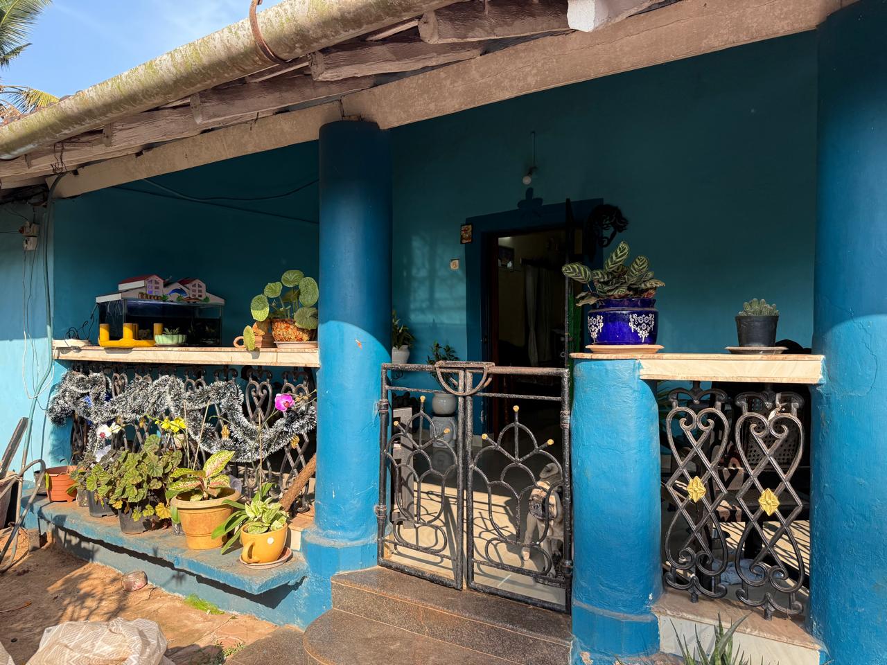 WhatsApp Image 2025-01-28 at 10.10.23 PM