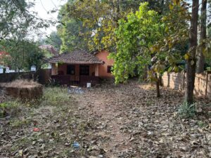 WhatsApp Image 2025-01-29 at 12.11.15 AM