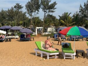 WhatsApp Image 2025-02-06 at 4.47.31 PM (1)