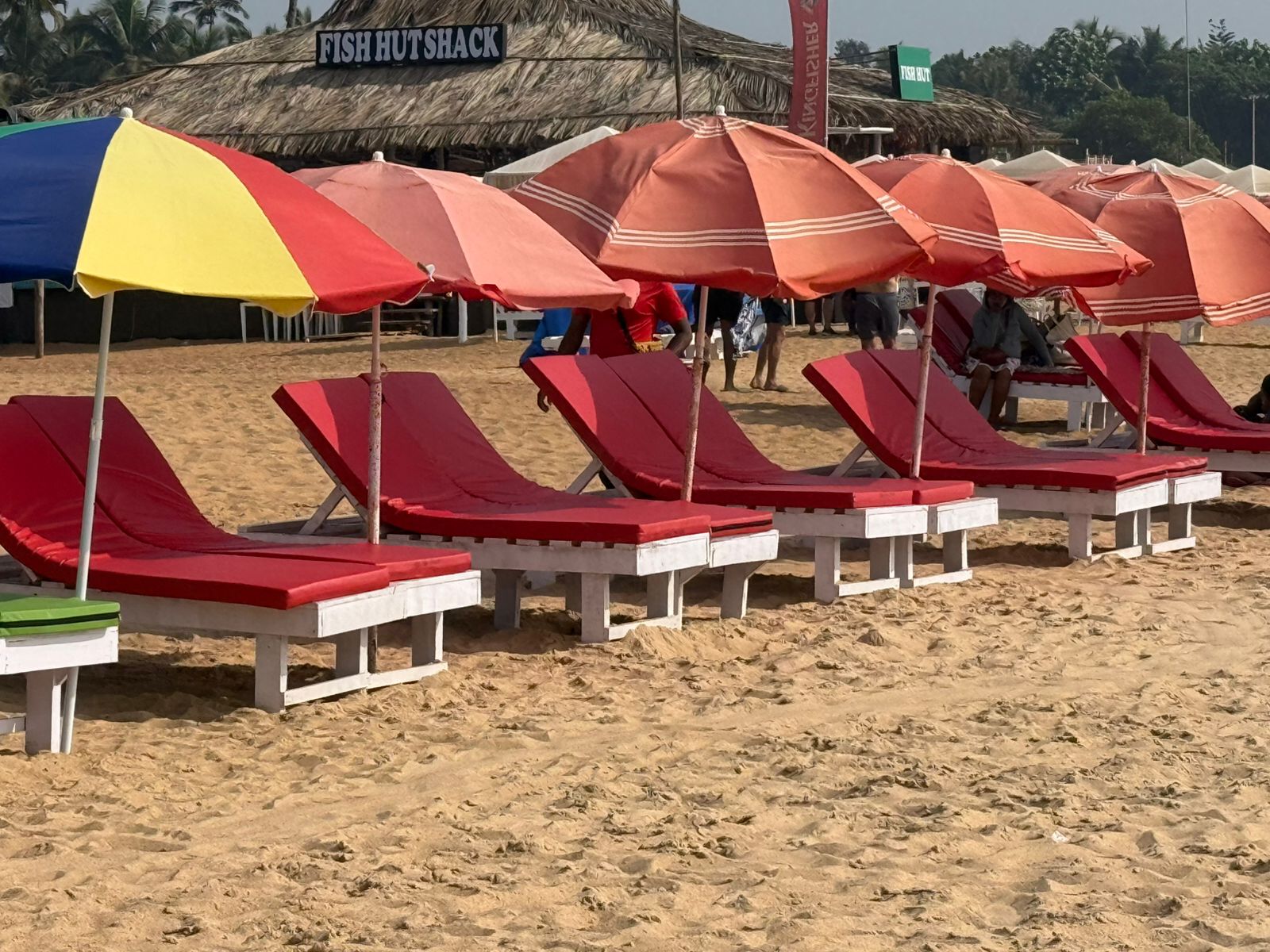 WhatsApp Image 2025-02-06 at 4.47.31 PM