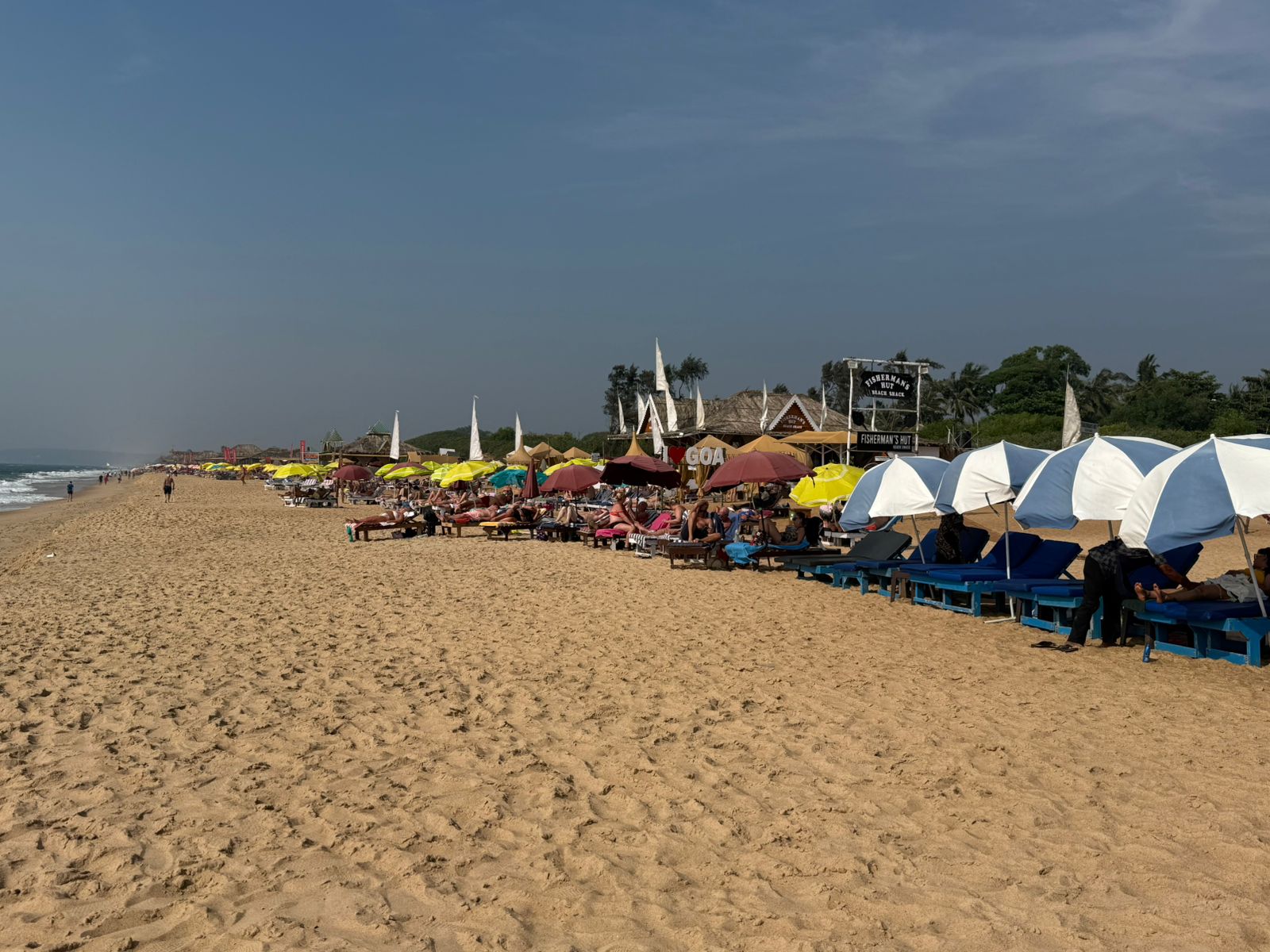 WhatsApp Image 2025-02-06 at 4.47.36 PM