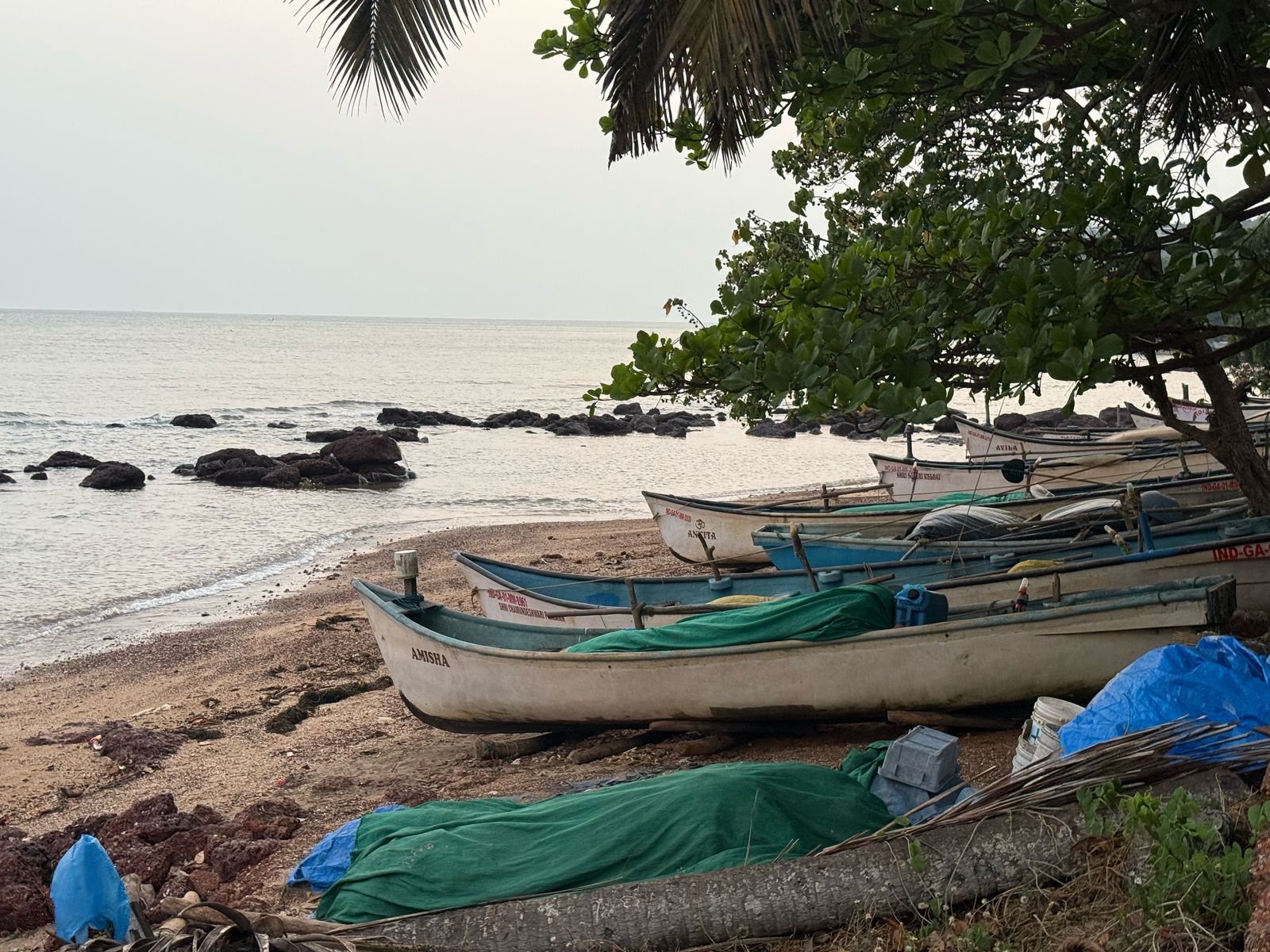 WhatsApp Image 2025-04-04 at 7.53.13 PM