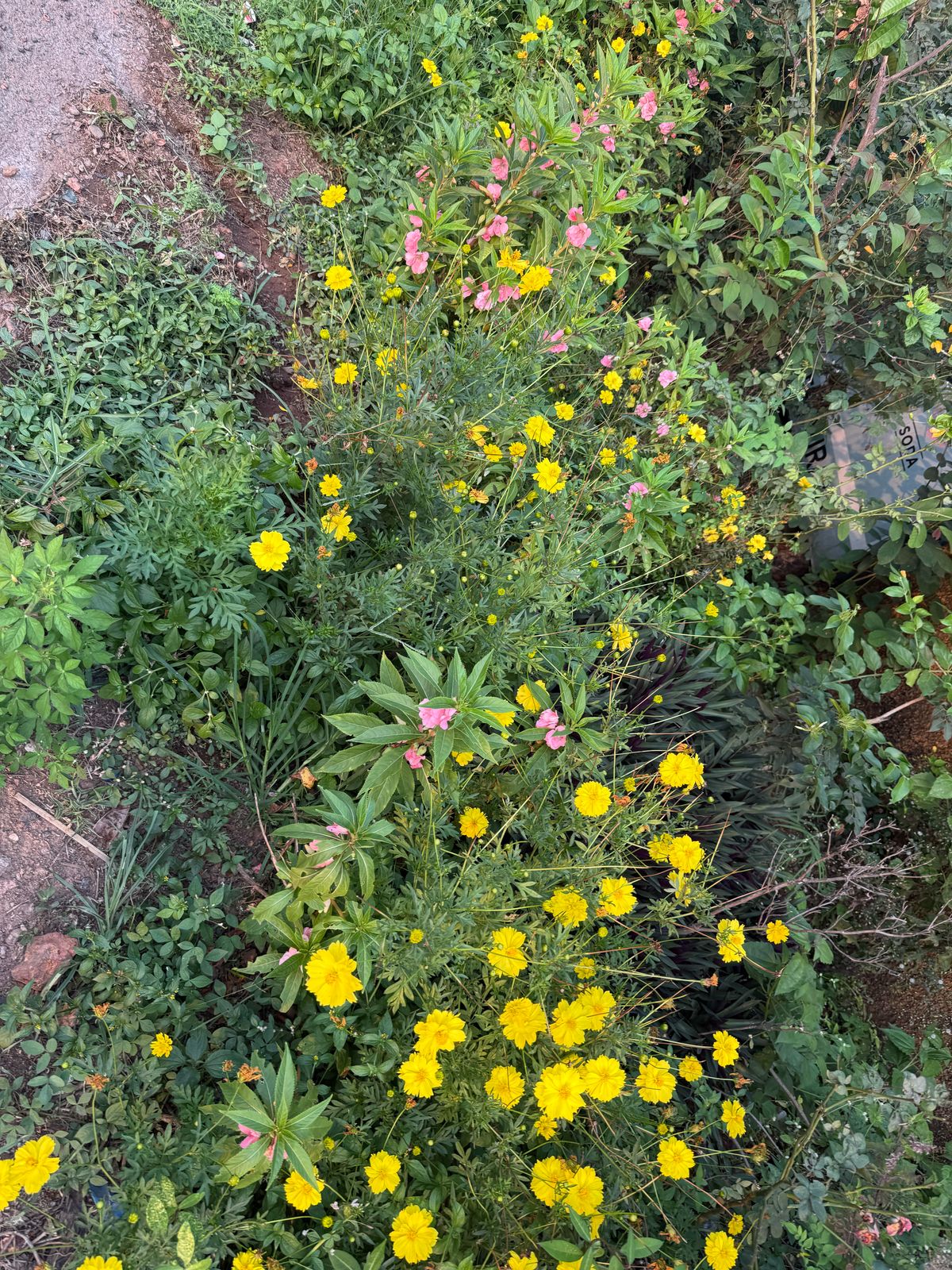 WhatsApp Image 2025-04-09 at 2.20.32 PM