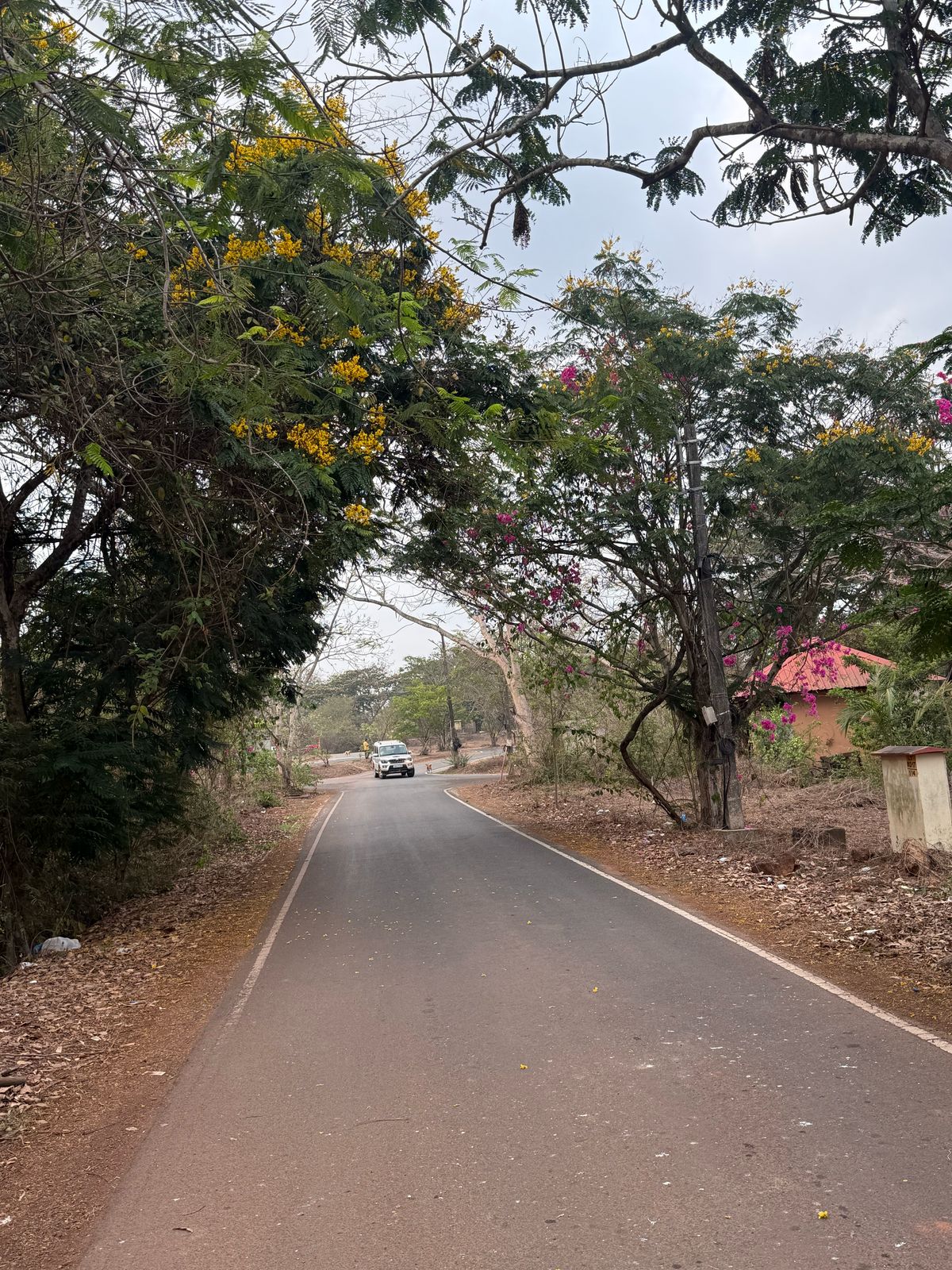 WhatsApp Image 2025-04-09 at 2.20.35 PM