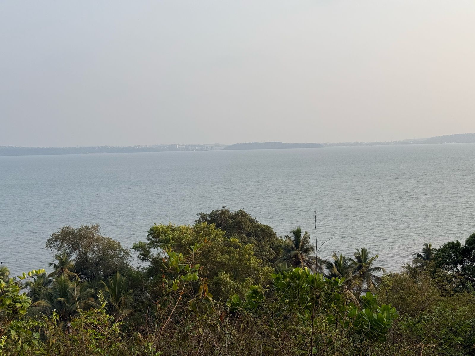 WhatsApp Image 2025-04-09 at 2.20.38 PM