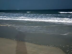 WhatsApp Image 2025-04-10 at 10.45.07 AM