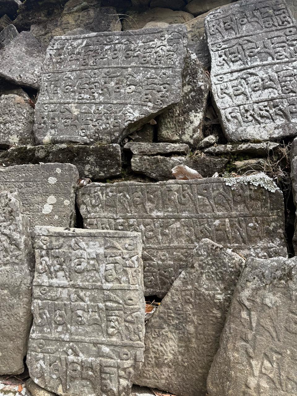 WhatsApp Image 2025-05-03 at 9.04.43 PM