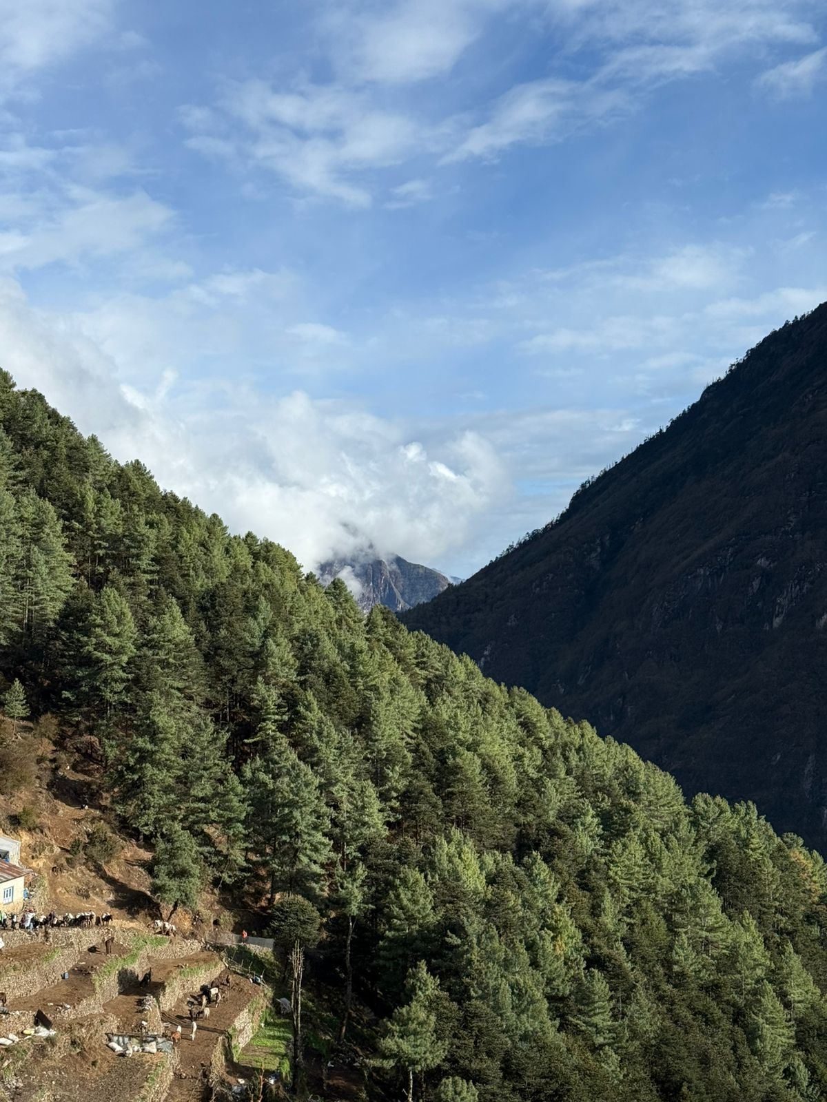 WhatsApp Image 2025-05-05 at 3.36.00 PM