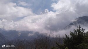 WhatsApp Image 2025-05-08 at 1.17.49 PM