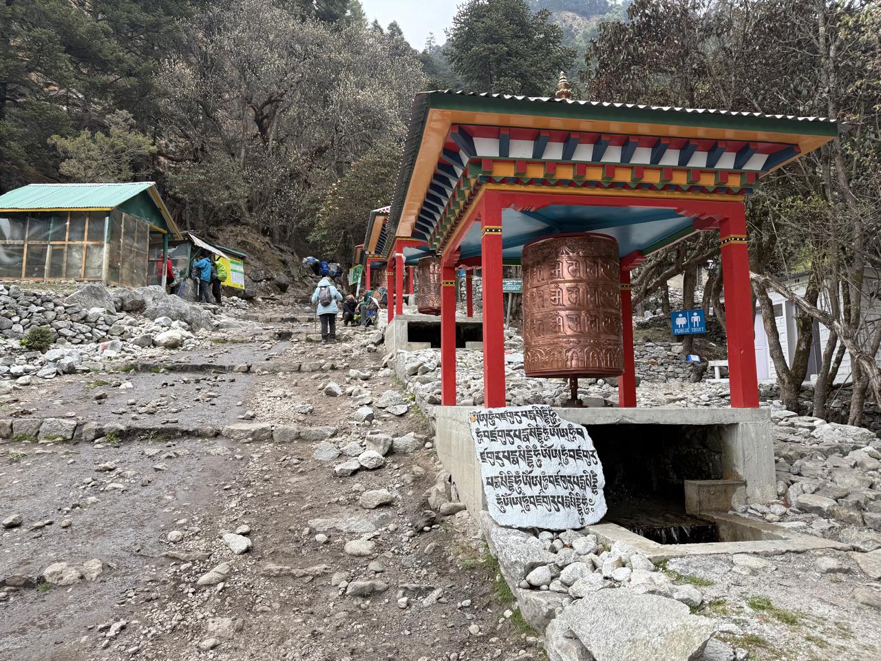 WhatsApp Image 2025-05-08 at 3.09.23 PM