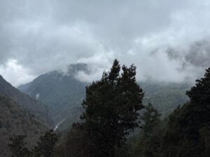 WhatsApp Image 2025-05-08 at 3.09.24 PM