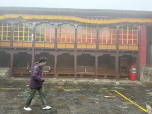 WhatsApp Image 2025-05-08 at 3.10.49 PM