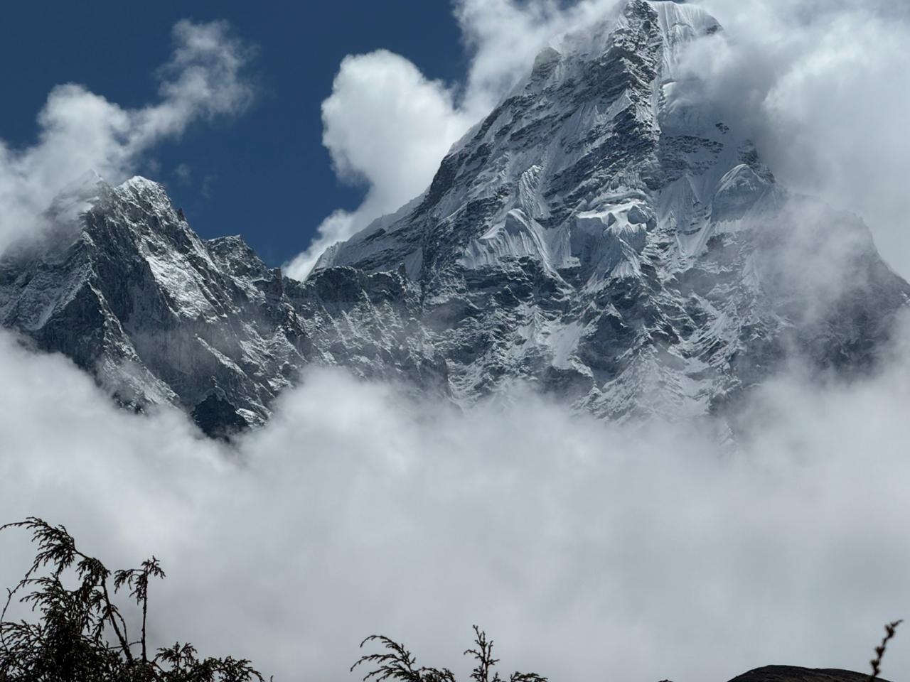 WhatsApp Image 2025-05-08 at 4.25.51 PM (1)