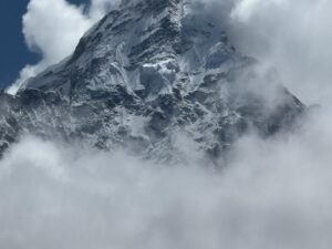 WhatsApp Image 2025-05-08 at 4.25.51 PM