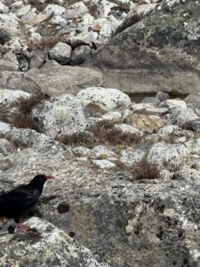 WhatsApp Image 2025-05-12 at 1.41.14 PM