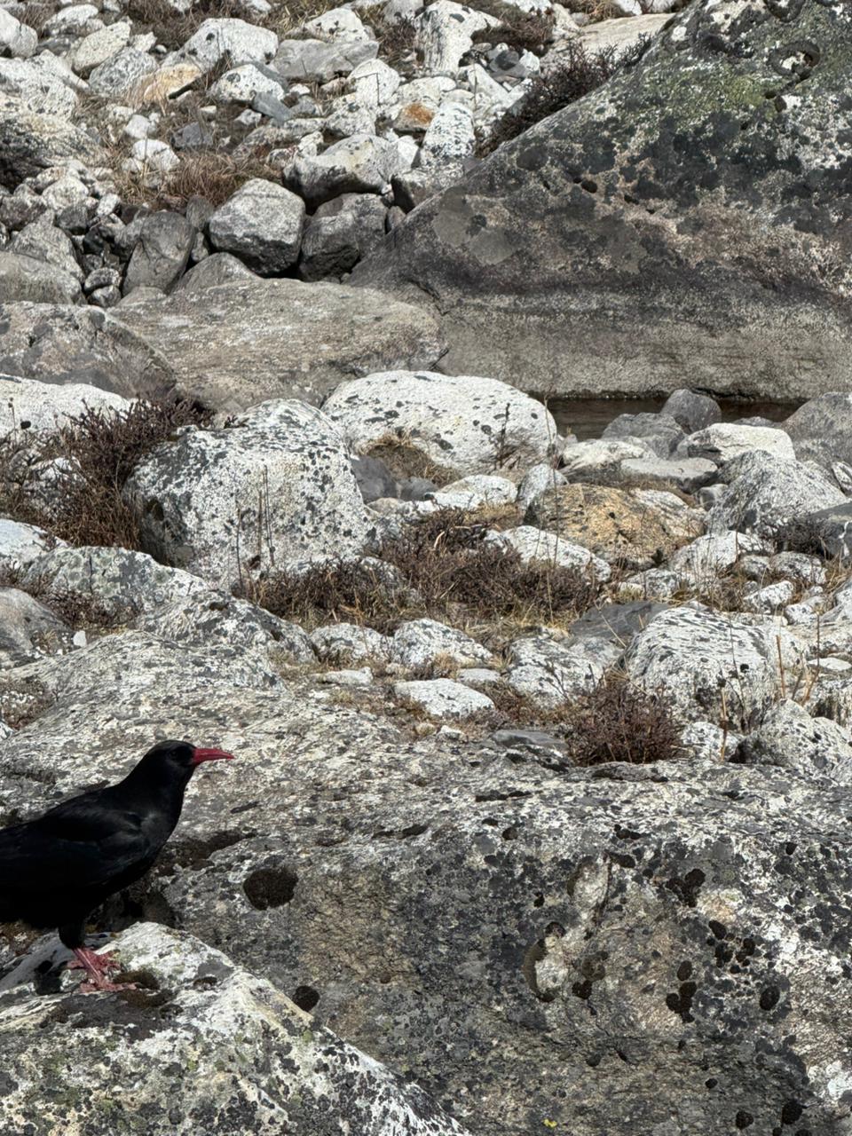 WhatsApp Image 2025-05-12 at 1.41.14 PM