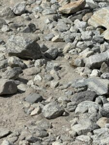 WhatsApp Image 2025-05-12 at 1.41.15 PM