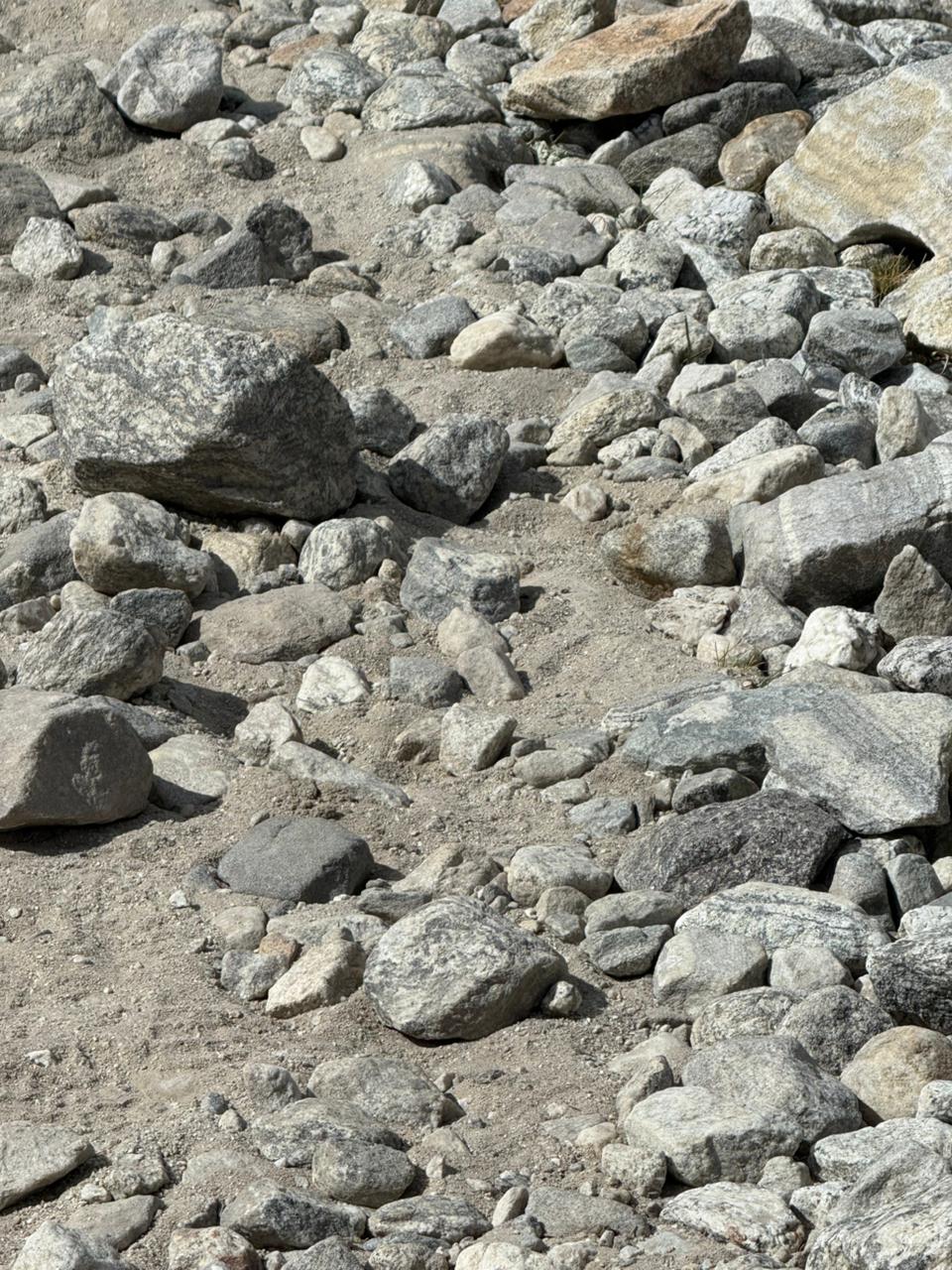 WhatsApp Image 2025-05-12 at 1.41.15 PM