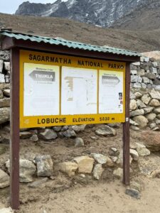 WhatsApp Image 2025-05-12 at 1.41.16 PM