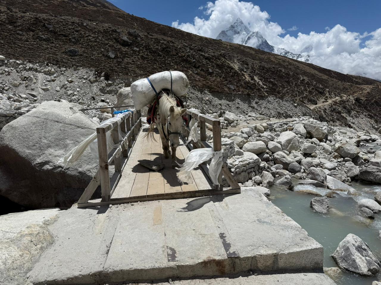 WhatsApp Image 2025-05-12 at 1.41.19 PM (1)