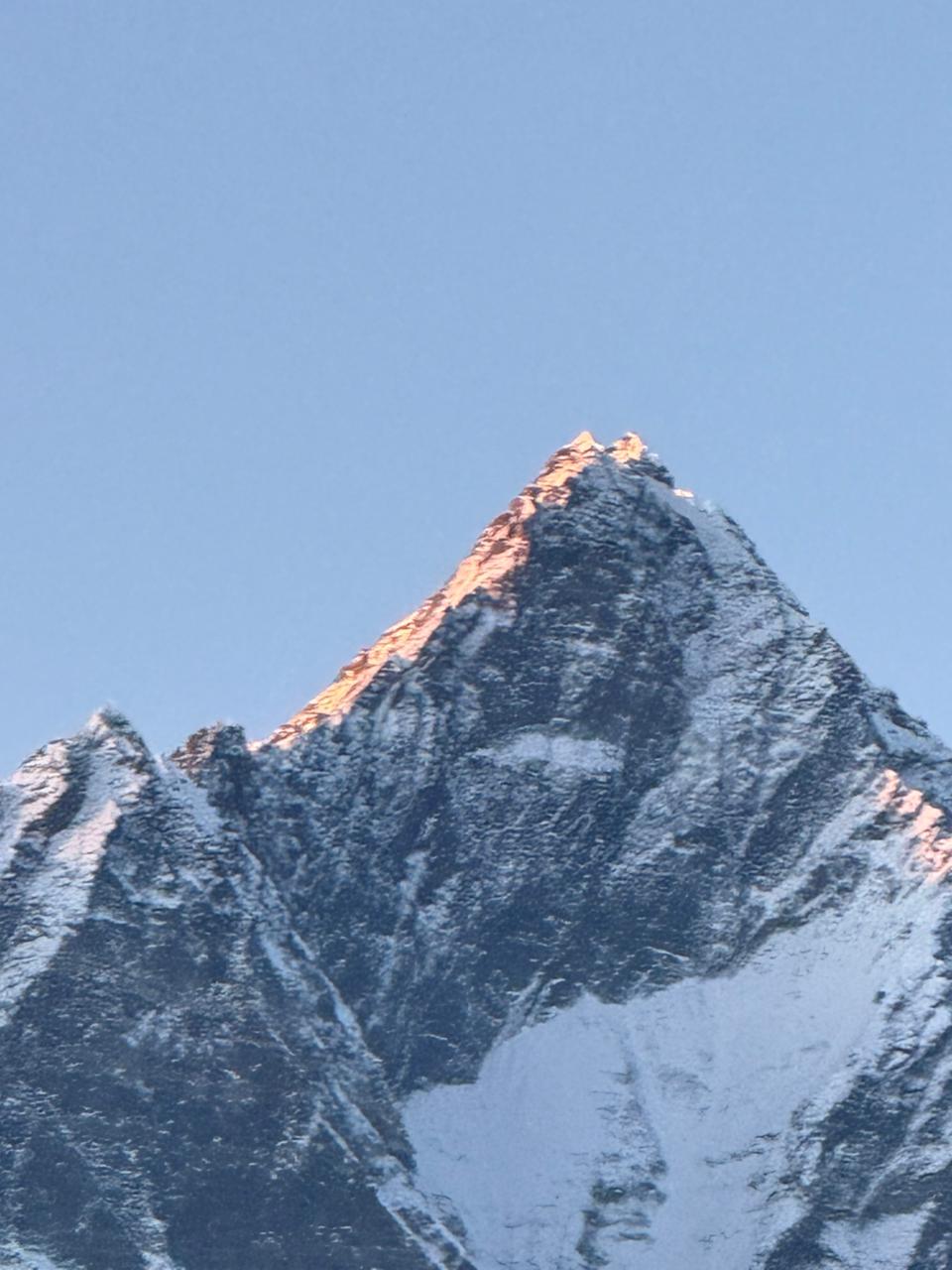 WhatsApp Image 2025-05-12 at 11.06.29 AM