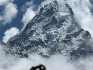 WhatsApp Image 2025-05-12 at 11.06.31 AM