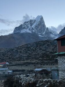 WhatsApp Image 2025-05-12 at 9.58.23 AM