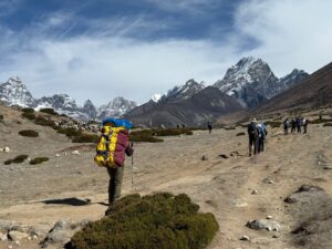 WhatsApp Image 2025-05-12 at 9.58.25 AM