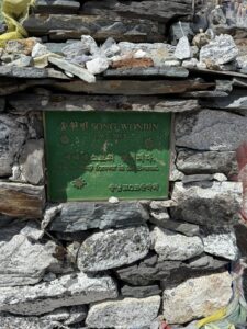 WhatsApp Image 2025-05-12 at 9.58.29 AM