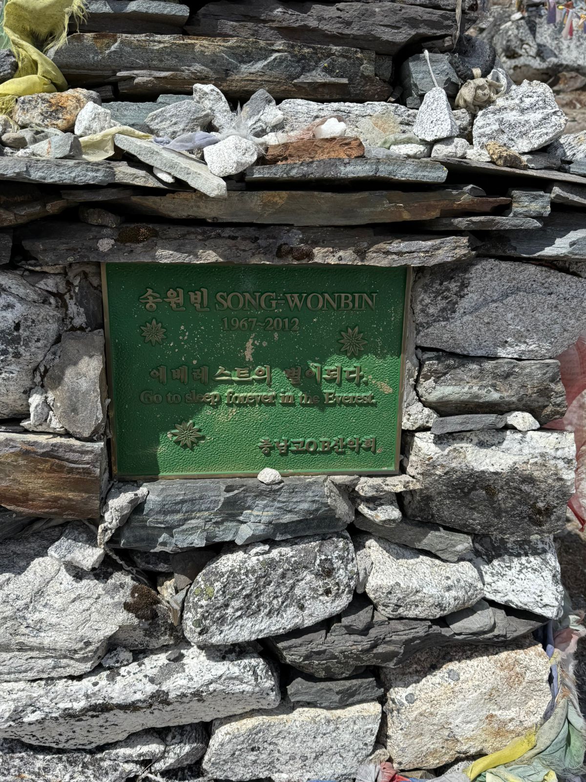 WhatsApp Image 2025-05-12 at 9.58.29 AM