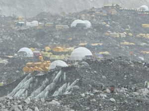 WhatsApp Image 2025-05-15 at 11.59.01 AM