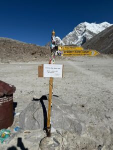 WhatsApp Image 2025-05-15 at 3.57.33 PM