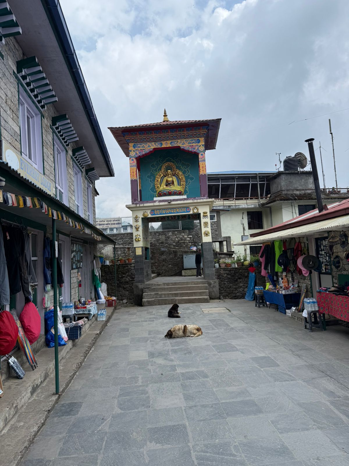 WhatsApp Image 2025-05-18 at 10.42.28 AM