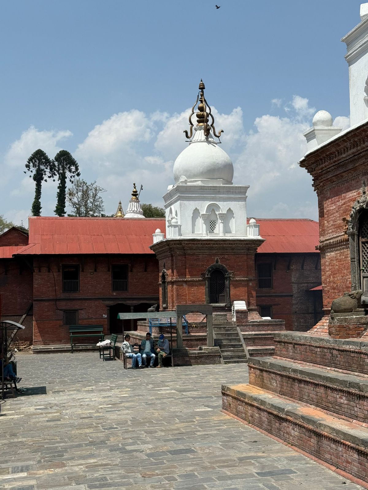 WhatsApp Image 2025-05-18 at 12.03.58 PM