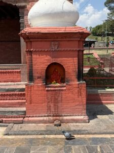 WhatsApp Image 2025-05-18 at 12.04.05 PM