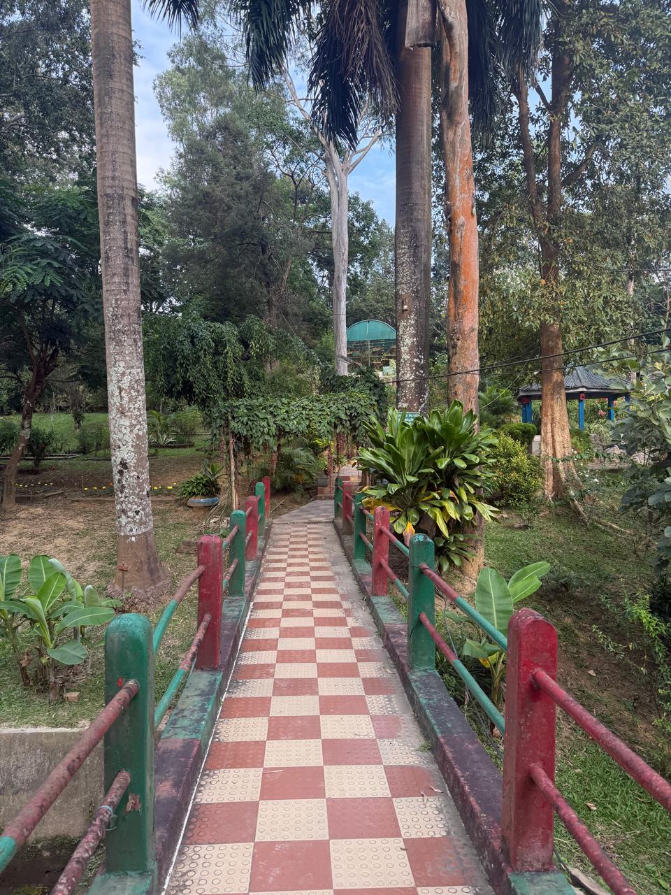 WhatsApp Image 2025-11-05 at 5.23.37 PM