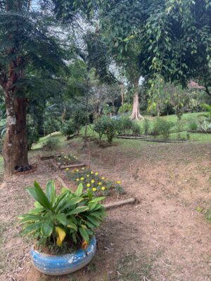 WhatsApp Image 2025-11-05 at 5.23.39 PM