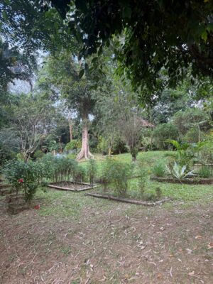 WhatsApp Image 2025-11-05 at 5.23.45 PM