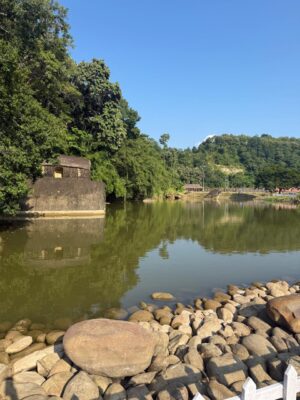 WhatsApp Image 2025-11-05 at 6.55.12 PM