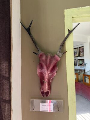 WhatsApp Image 2025-11-08 at 6.35.49 PM (1)