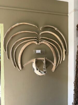 WhatsApp Image 2025-11-08 at 6.35.49 PM (2)