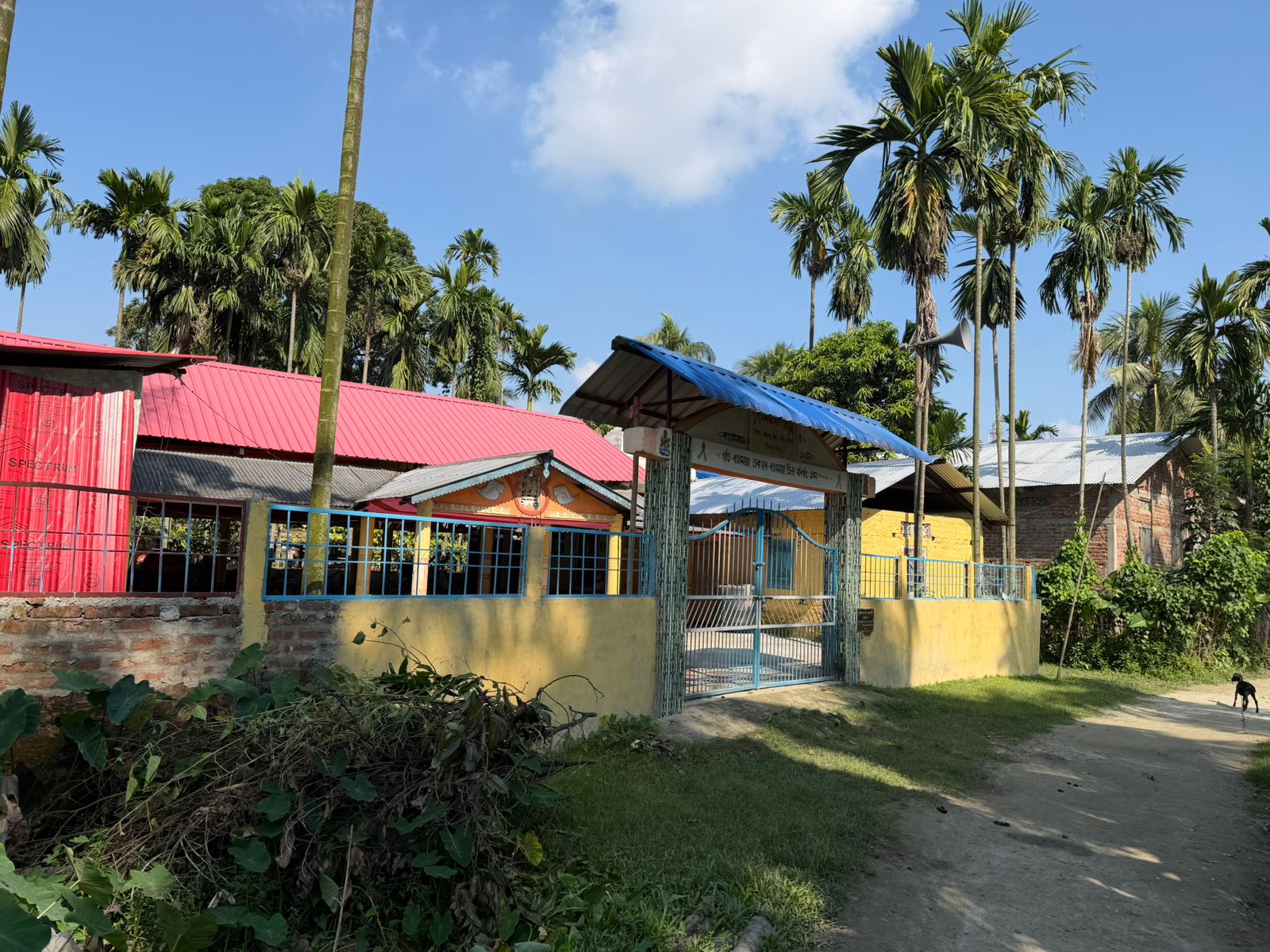 WhatsApp Image 2025-11-10 at 2.08.55 PM