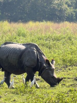 WhatsApp Image 2025-11-11 at 4.27.33 PM