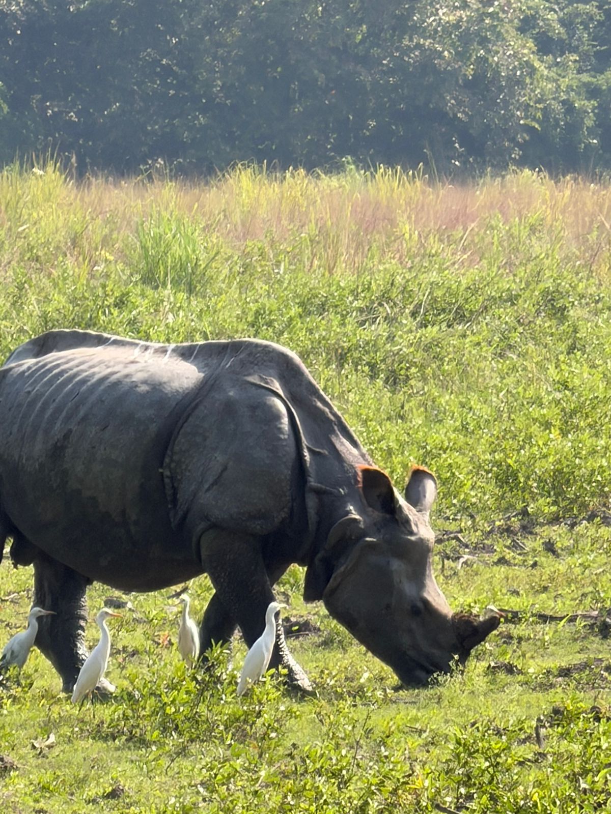 WhatsApp Image 2025-11-11 at 4.27.33 PM