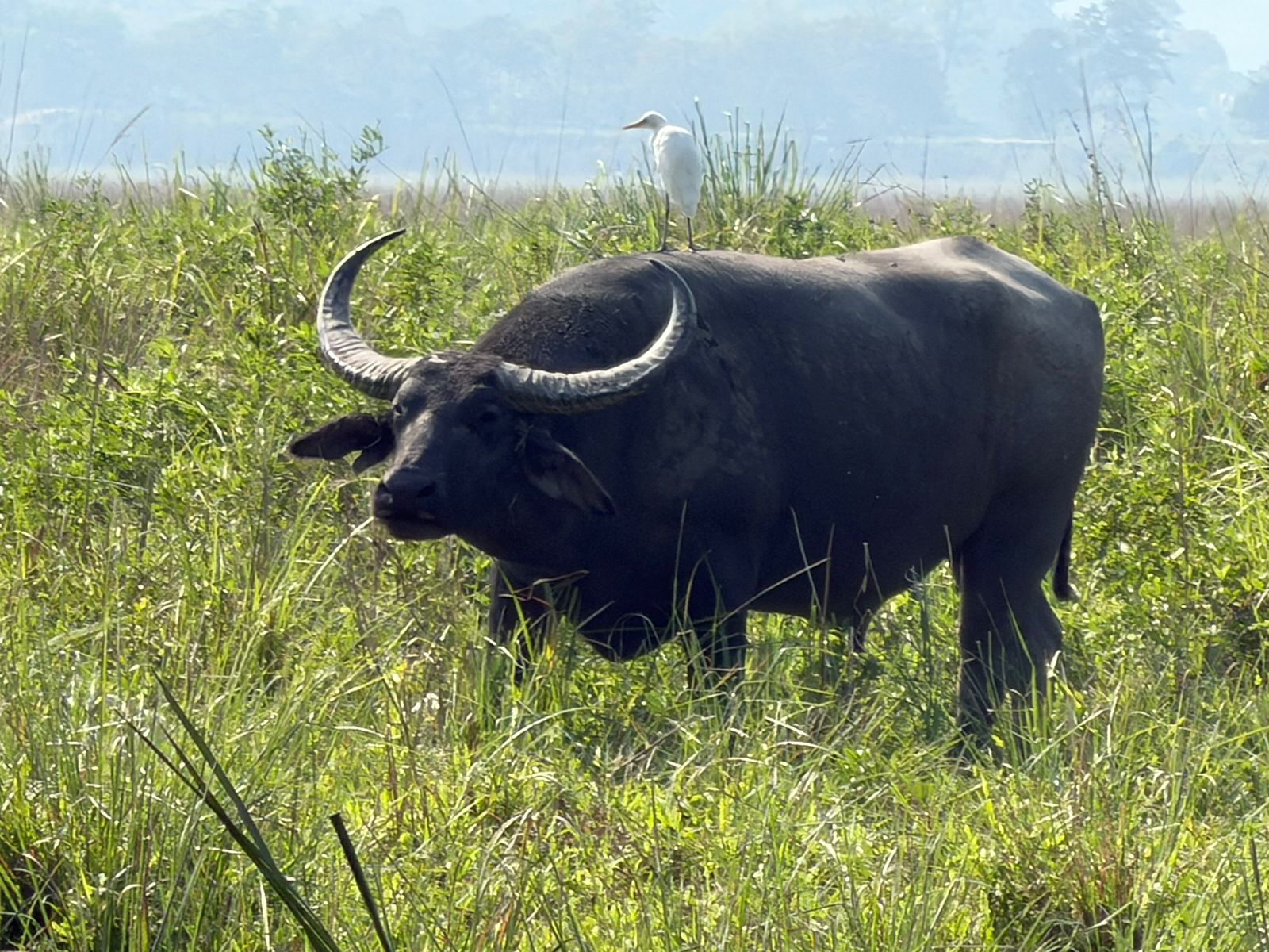 WhatsApp Image 2025-11-11 at 4.27.35 PM